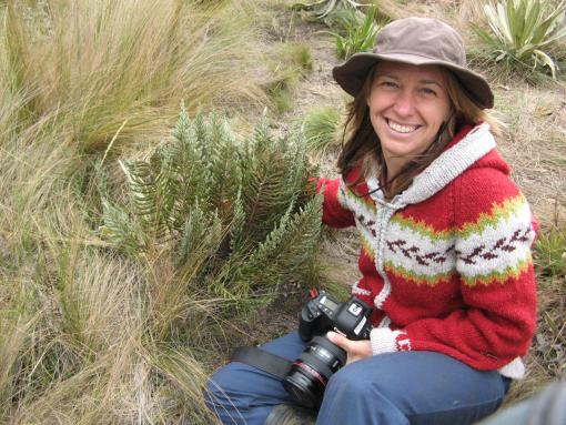 A Grass Solution - Erika Edwards has uncovered the origin of a grouping of grasses that now account for up to one-fifth of the vegetational covering on Earth. Rainfall, not temperature, was the primary trigger around 30 to 40 million years ago.